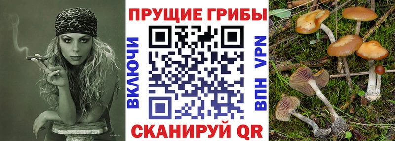 Галлюциногенные грибы GOLDEN TEACHER  Курильск 