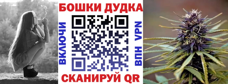 kraken как зайти  Курильск  Бошки Шишки SATIVA & INDICA 